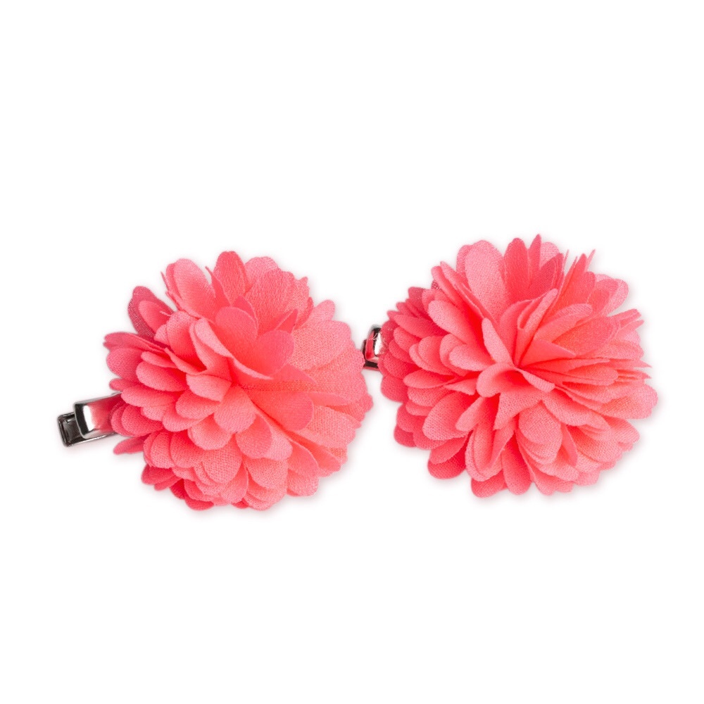 Nearly Neon hair clips